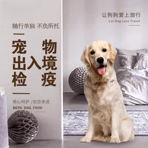 大庆市宠物托运到哥伦比亚猫狗宠物入境规定和
