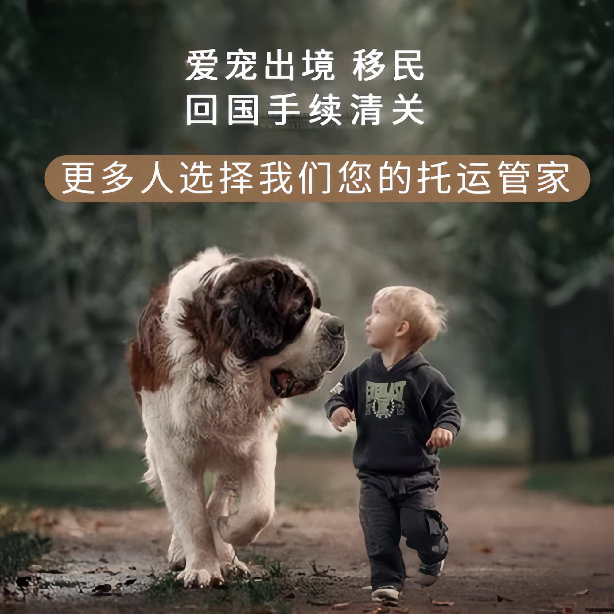 满财大庆市宠物全球达宠物托运在遵守入境目的地政策的条件