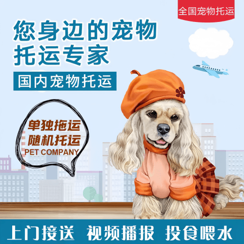 满财大庆市宠物全球达宠物托运作为专业的宠物运输代理机构